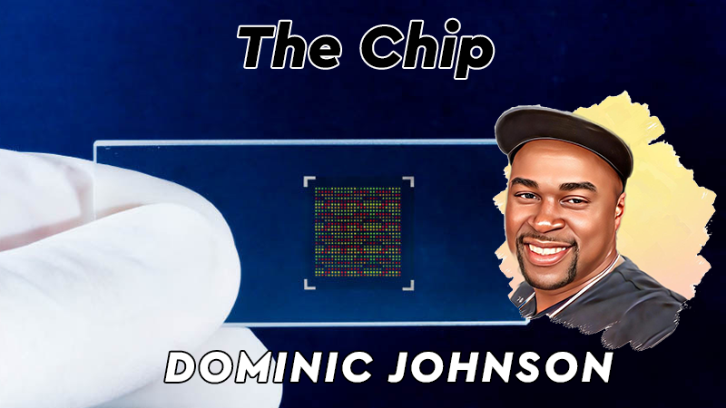 The Chip by Dominic Johnson